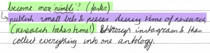 Become more 'nimble'?(faster) 🠒 publish small bits & pieces during time of research (research takes time!) through Instagram & then collect everything into one anthology.